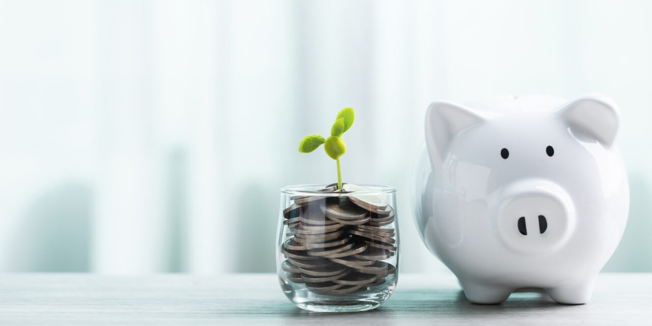 Personalised accounting advice: helping your start‑up build a strong financial foundation