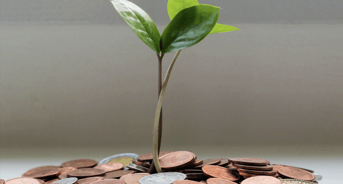 Management accounts made simple: the smart way to spot growth opportunities