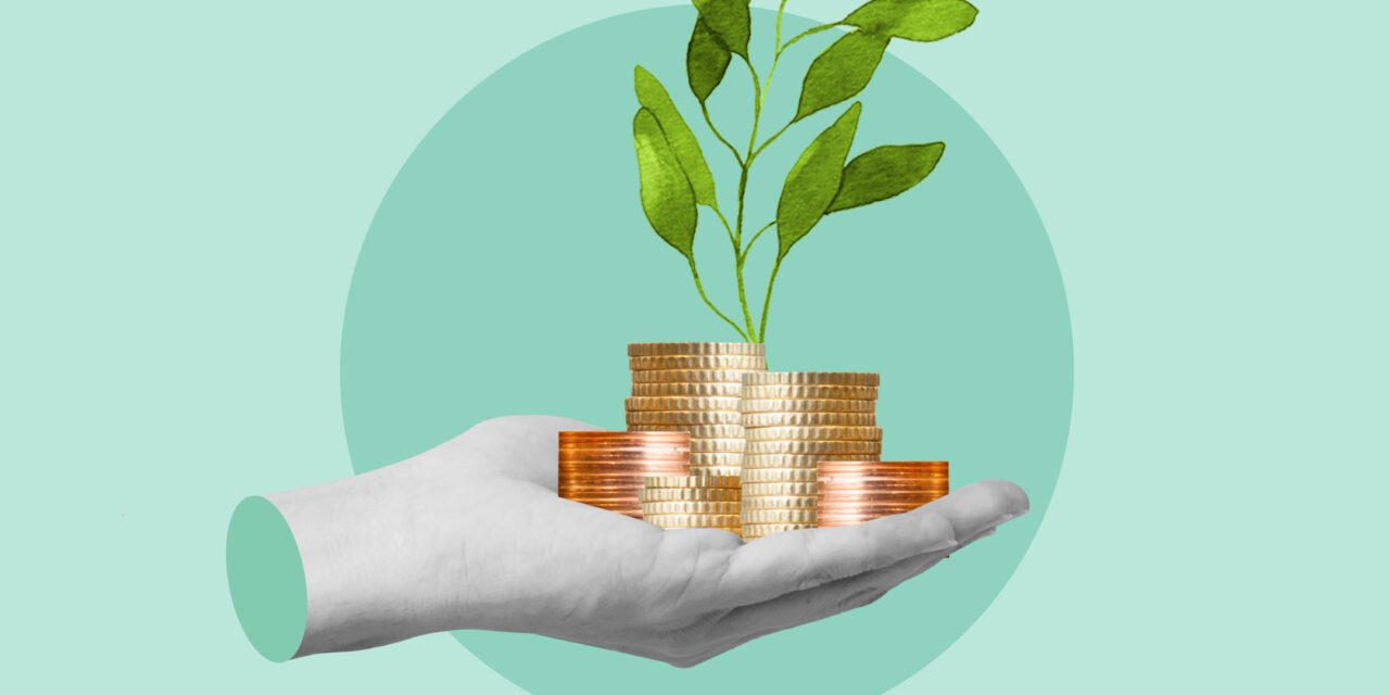 Start-up finance made simple: the first things to set up