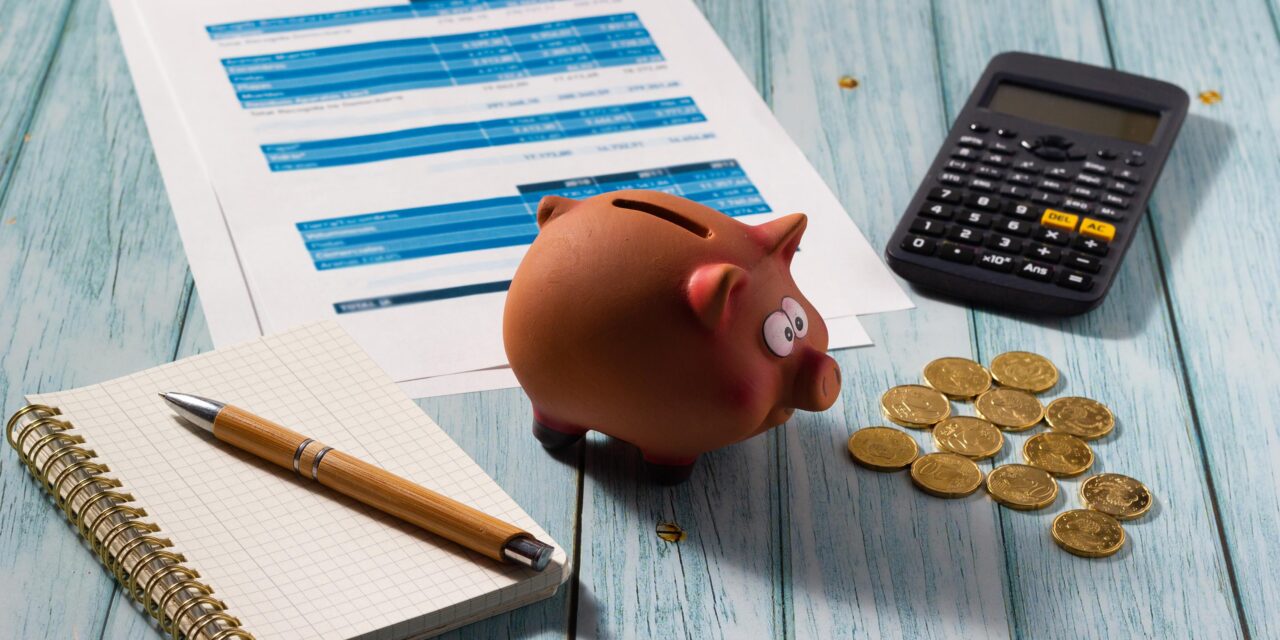 Personal accounting support for small business owners: calm, clear, and in the cloud